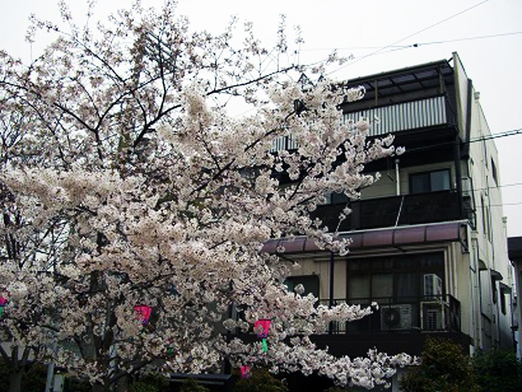 W.K Inn Osaka Exteriör bild